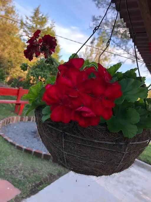 Villa Desconectate! Casa De Campo Con Vista Sensacional !!! Rionegro